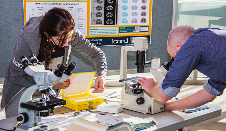 2 researchers looking into a microscope for International Collaboration On Repair Discoveries 
