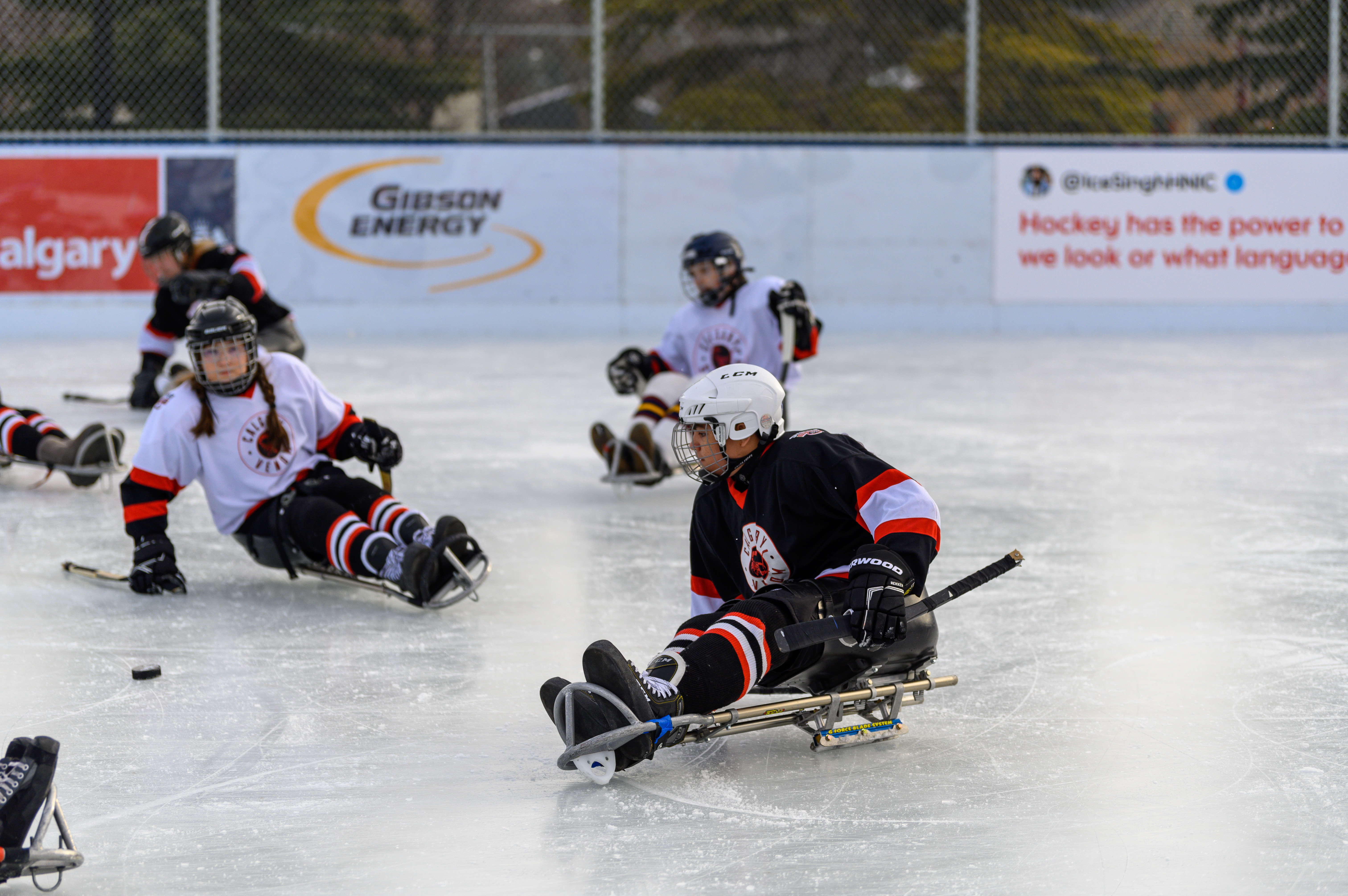 People playing sledge hockey. One team is wearing black jerseys and the other team is wearing white jerseys.