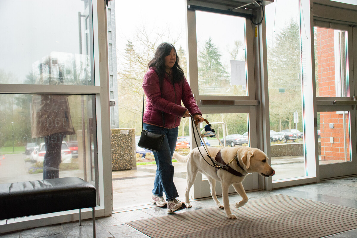 Person with long dark hair wearing a pink jacket walking through an automatic door with a guide dog.