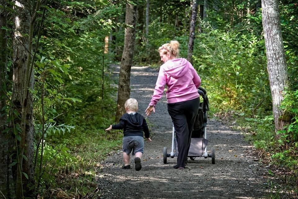 mother and child on accessible gravel path in a forest, mother pushing a stroller