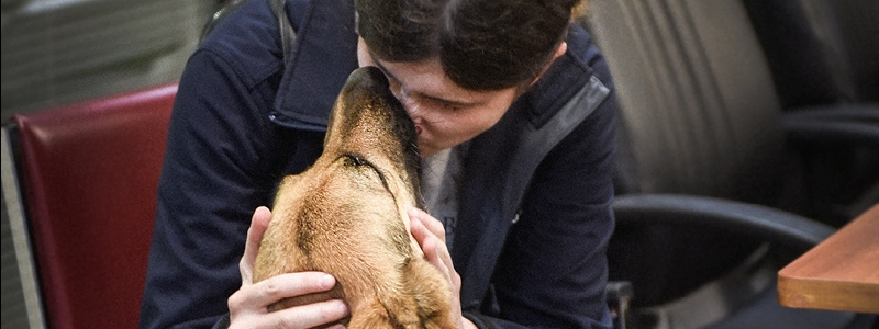 Person sitting on a chair with their face affectionately pressed against the face of a service dog.