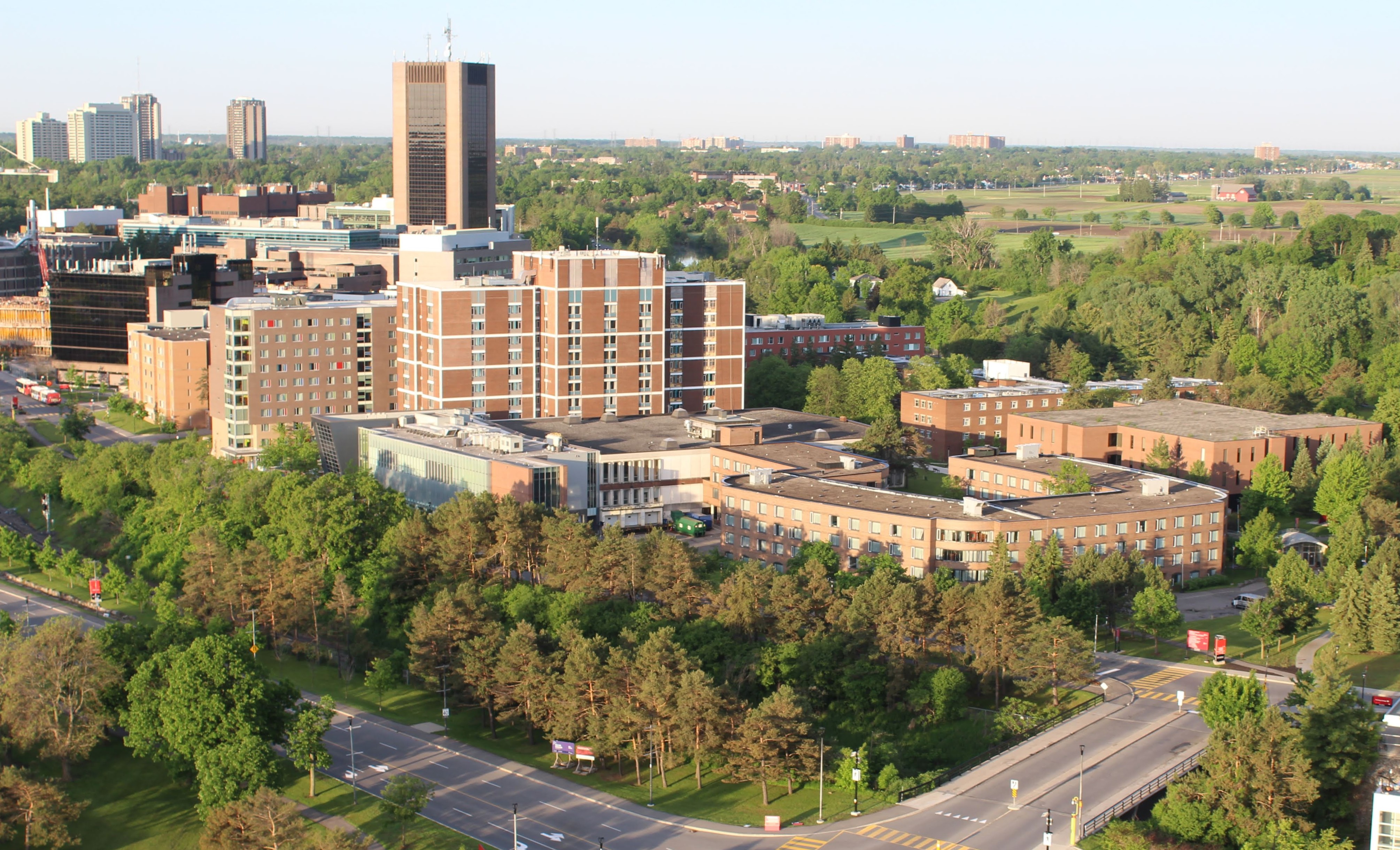 Carleton University