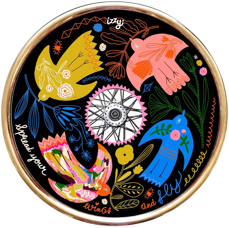 A wheelchair wheel is decorated with paintings of 4 drawn birds, one yellow, one pink, one blue, and one multi-coloured with floral and eye patterns. Text in wheels says "Spread your wings and fly by Izzy"