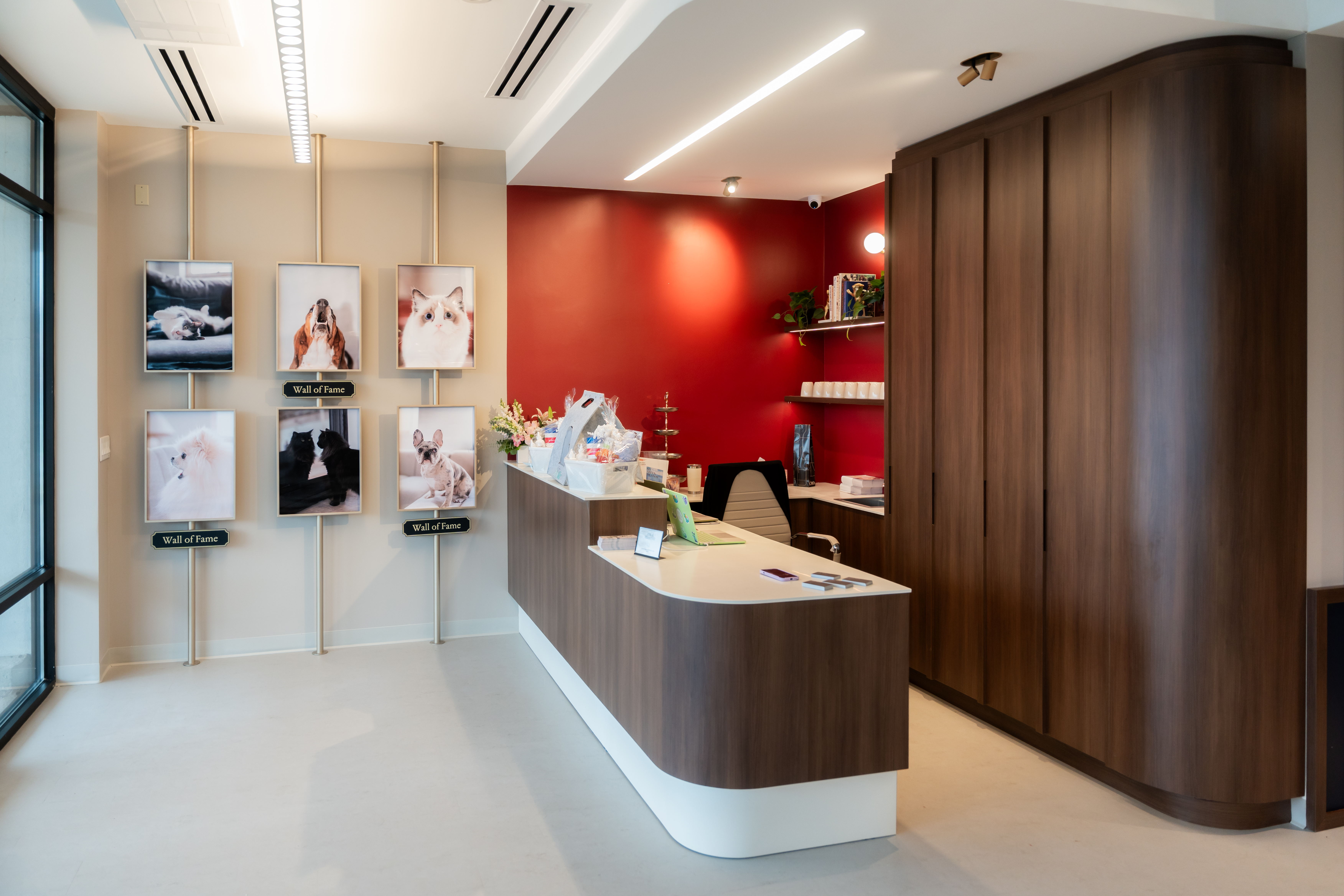 3D rendering of a front desk reception area featuring a lowered counter section on the right and framed photos of dogs and cats on the left wall