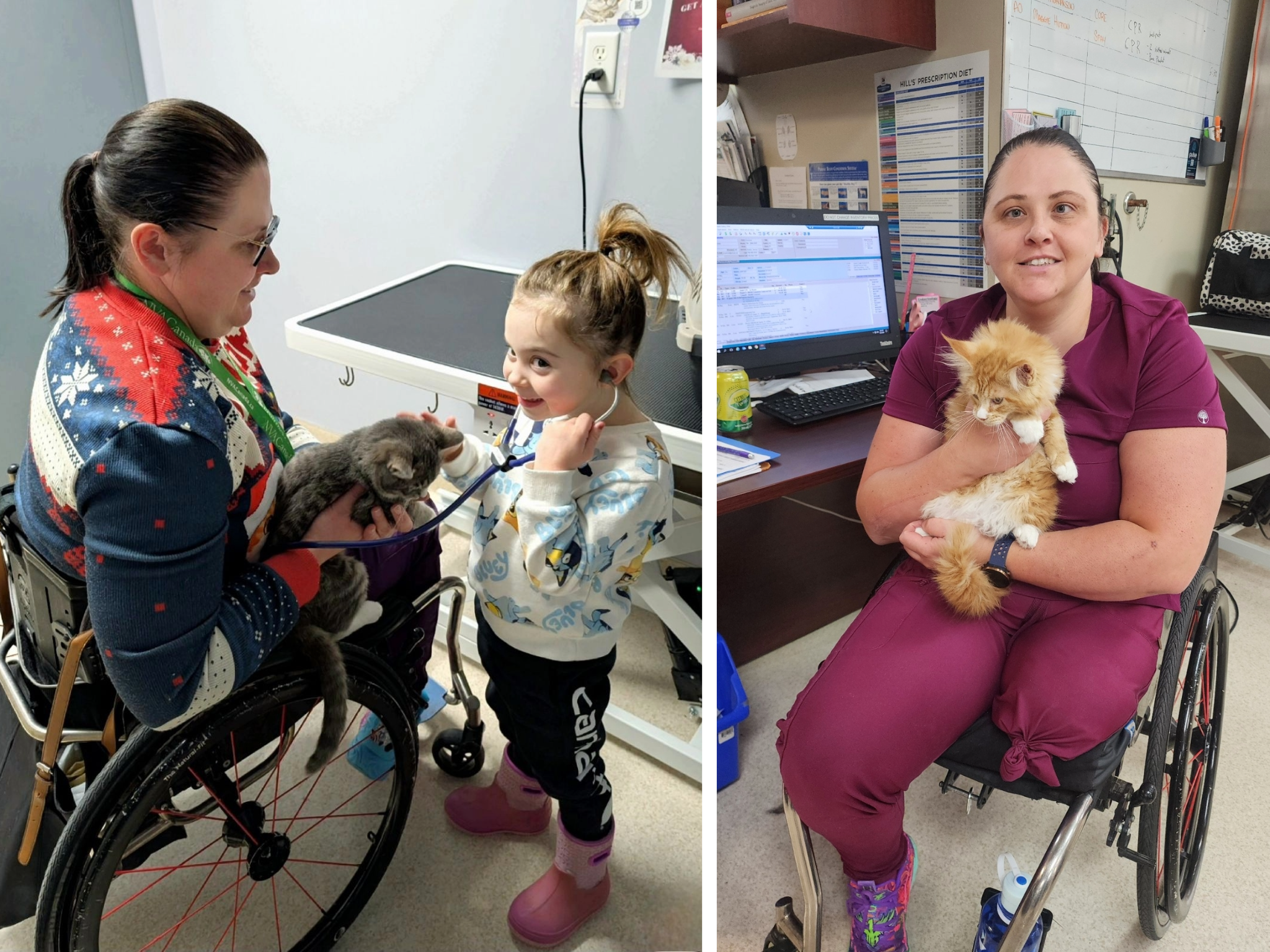 Collage of two photos: on the left, a woman in a wheelchair holds a cat while a young girl uses a stethoscope to listen to its heart; on the right, the woman sits at a height-accessible desk, smiling at the camera while holding the cat