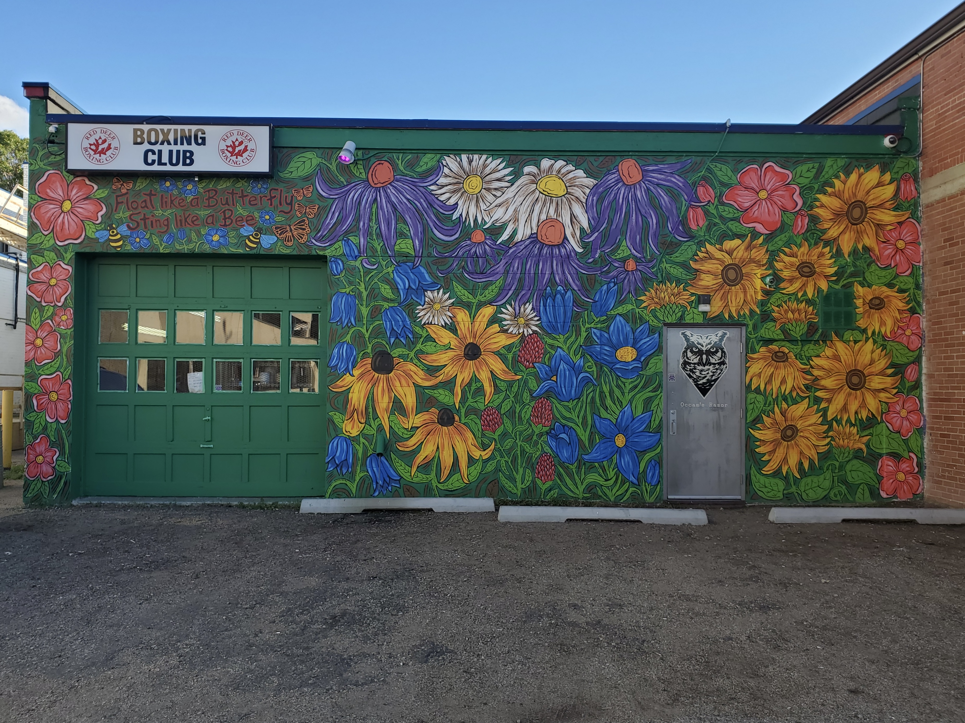 Large colourful flower mural on the building for a boxing club. In the top left corner, a quote reads "float like a butterfly sting like a bee"