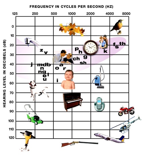 Chart displays common sounds and their decibel level. For example, a dripping tap is 20 decibels and a jet plane taking off is over 120 decibels. 