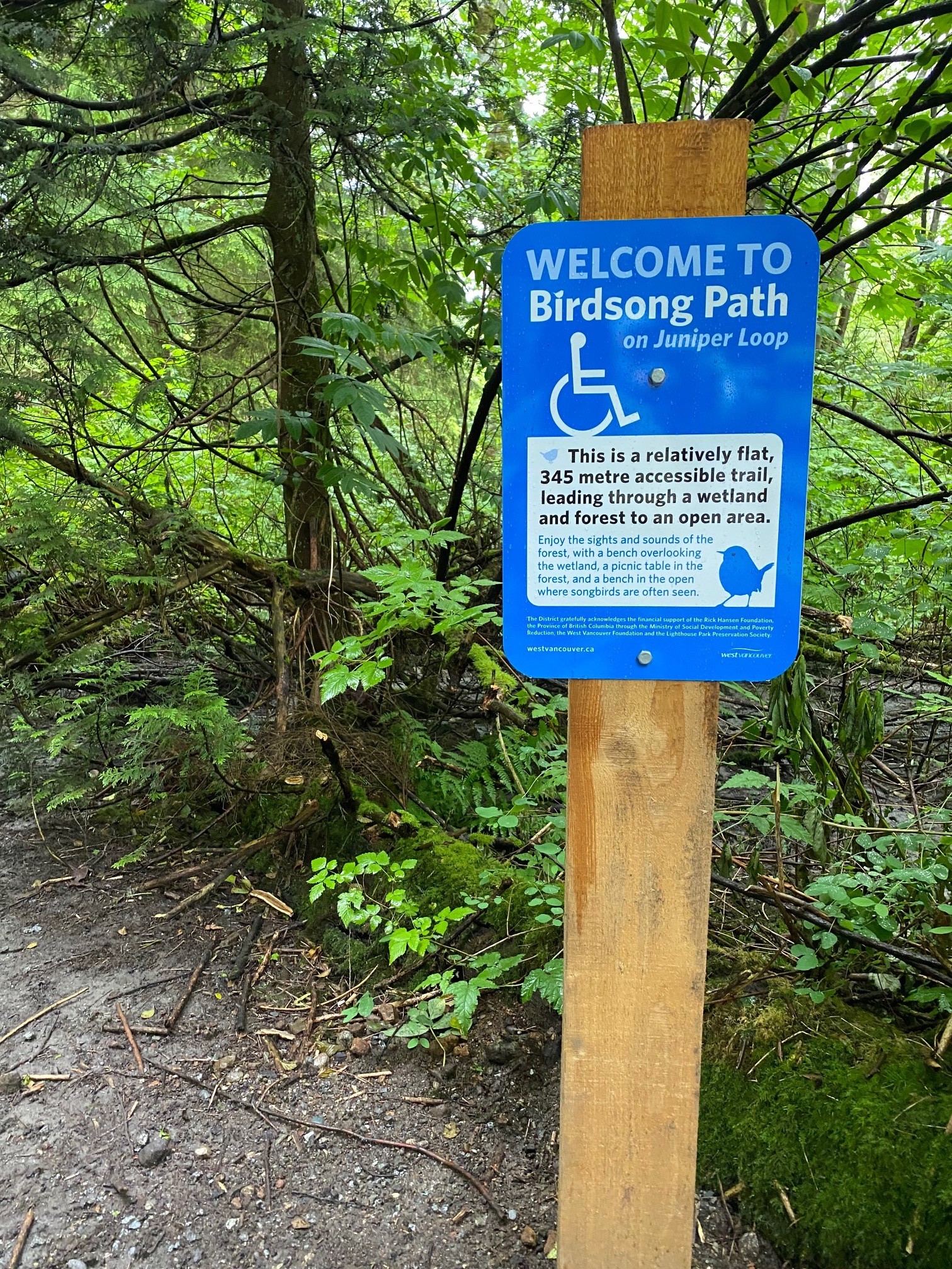 A blue sign in a rainforest park. It reads "Welcome to Birdsong Path on Juniper Loop. This is a relatively flat, 345 metre accessible trail, leading through a wetland and forest to an open area. Enjoy the sights and sounds of the forest, with a bench overlooking the wetland, a picnic table in the forest, and a bench in the open where songbirds are often seen." 