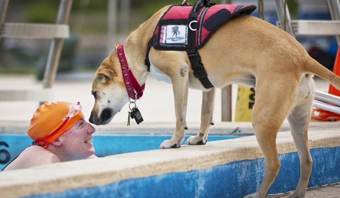 Person with disability and service dog at the pool