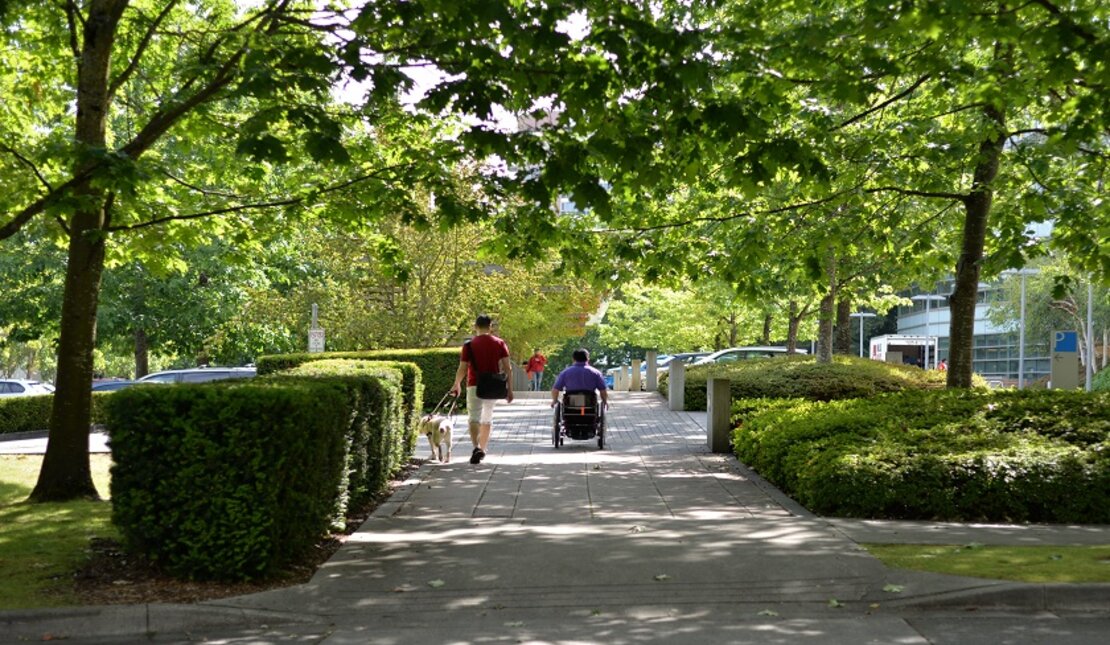 Wheelchair user and guide dog user take a walk 