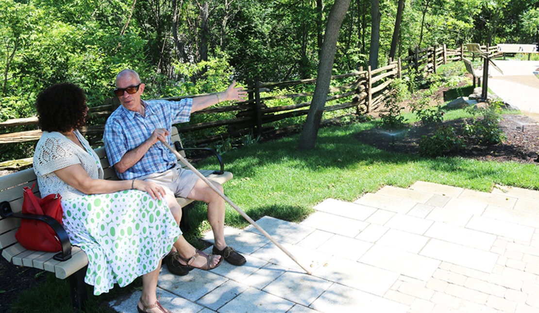 What is an Age-Friendly Environment?