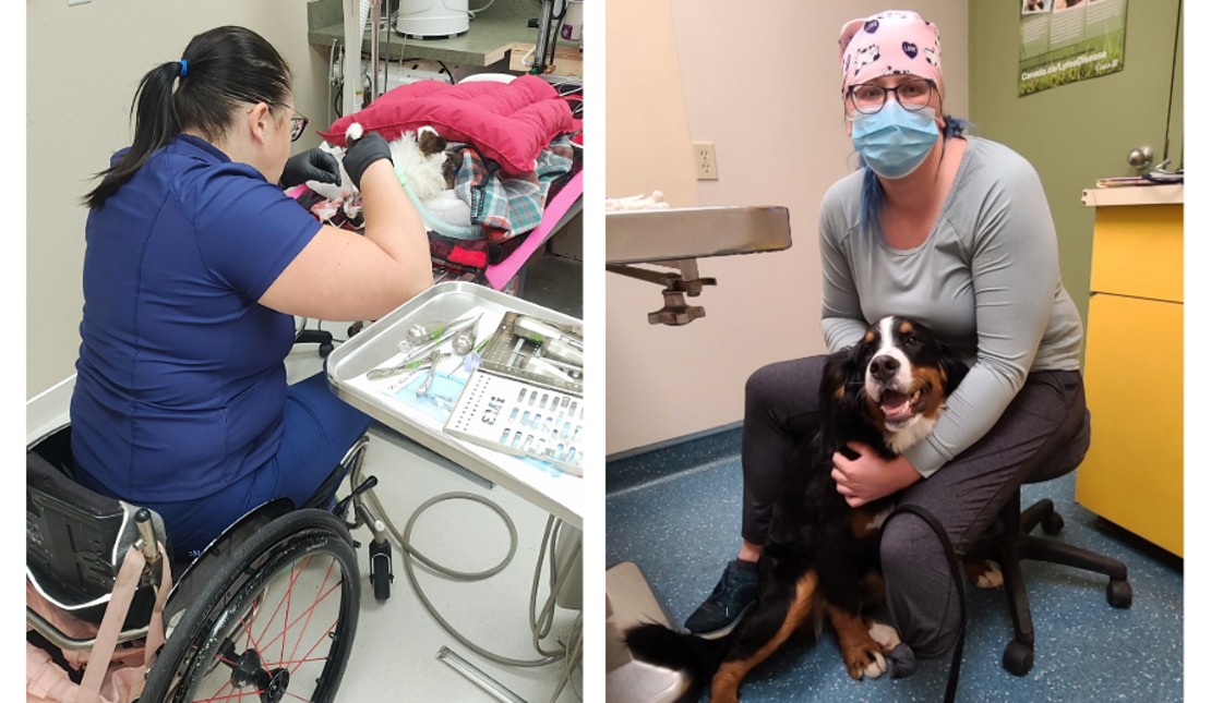 Collage of two photos: on the left, a woman in a wheelchair wearing surgical attire operates on a sedated cat in a medical room with monitoring equipment; on the right, the same woman, now wearing a mask and hair cover, hugs a dog and looks at the camera