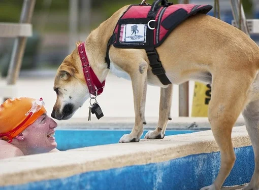 Person with disability and service dog at the pool