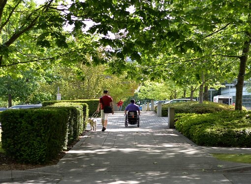Wheelchair user and guide dog user take a walk 