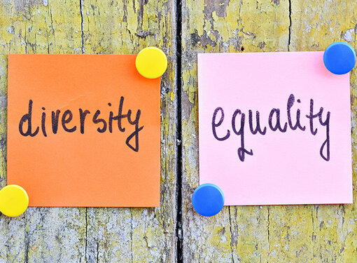 Graphic says: Diversity/ Equality