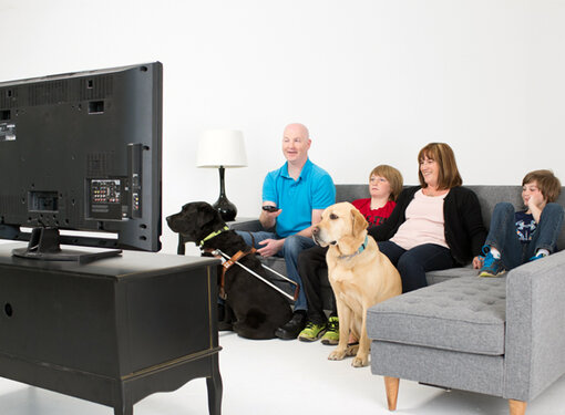 A family, and guide dog, watching television