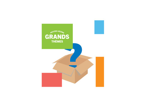 A question mark over a cardboard box. Title reads Les Petite Lecons Grandes Themes