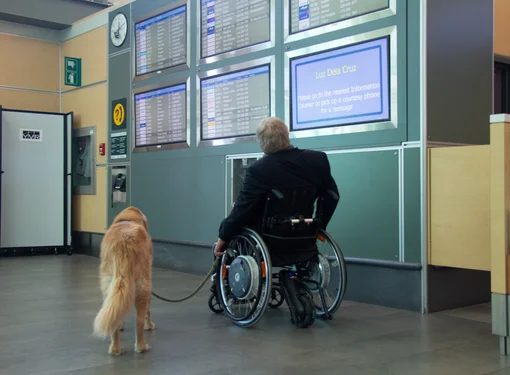 Man using a wheelchair and his service dog read flight arrival and departure boards at an airport