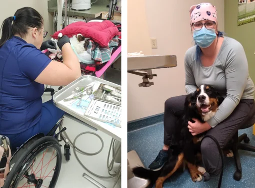 Collage of two photos: on the left, a woman in a wheelchair wearing surgical attire operates on a sedated cat in a medical room with monitoring equipment; on the right, the same woman, now wearing a mask and hair cover, hugs a dog and looks at the camera
