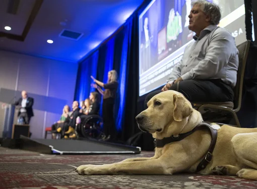 Guide dog lying on the floor in the foreground of a conference setting, wearing a harness, with people seated on stage in the background. One person sits in a wheelchair, while another signs on stage. 