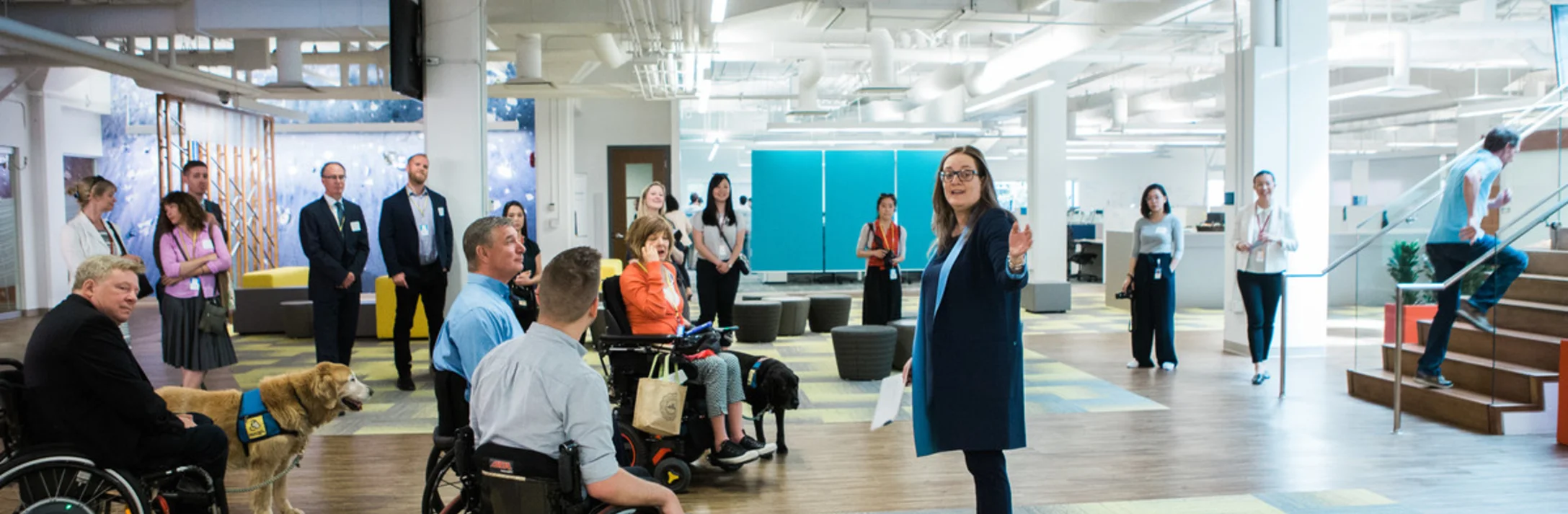 Accessibility Advisory Services
