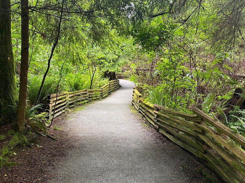 Lighthouse Park creates an accessible trail so more people can experience an old growth forest 