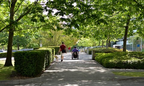 Wheelchair user and guide dog user take a walk Thumbnail